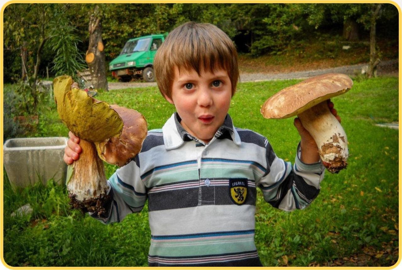 Camping Grondola - Federicofarm *